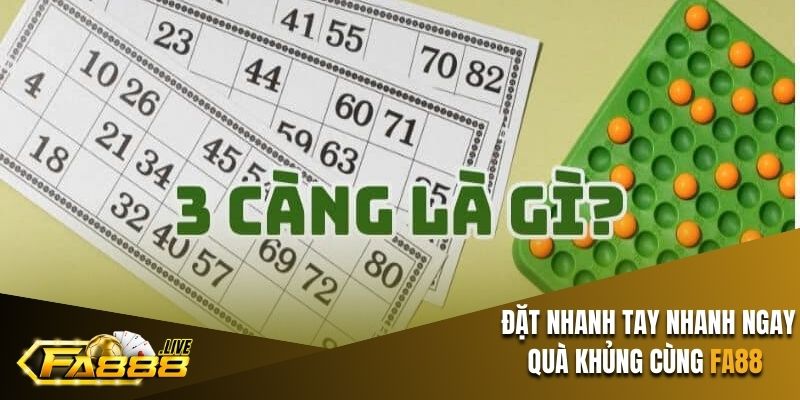 3 càng là gì